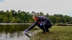 Using environmental DNA to determine how hydropower affects biodiversity in rivers