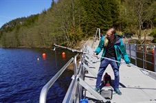 Smart design leder 3 av 4 laks trygt forbi kraftverket i Mandalselva